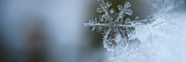 Foto von Aaron Burden auf Unsplash